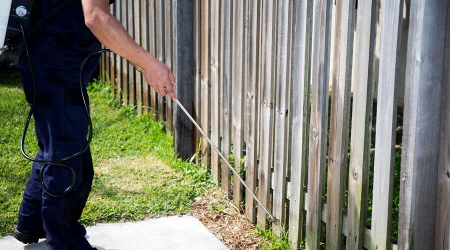 Why choose Monthly Pest Prevention Plans Springfield for monthly pest prevention plans in Springfield